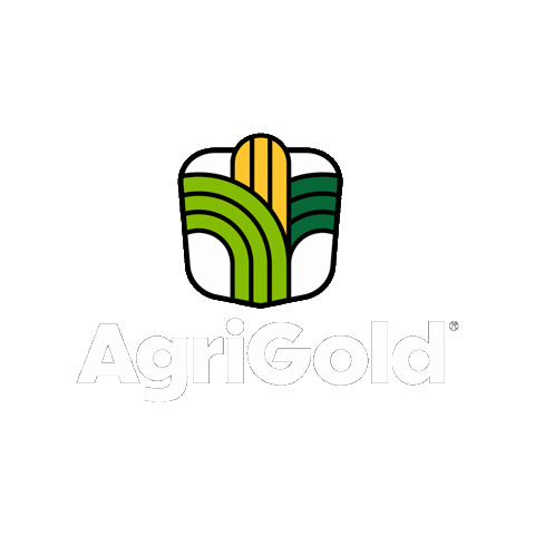 Agriculture Corn Sticker by AgriGold