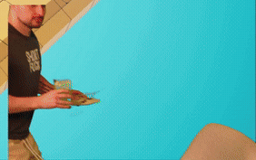Duck GIF