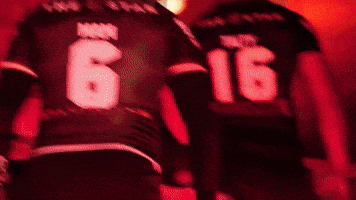 Rugby League Nrl GIF