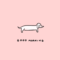 Good Morning Dog GIF by Stefanie Shank