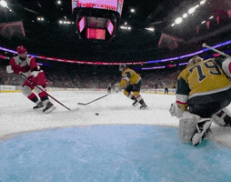 Stanley Cup Goal GIF
