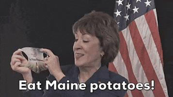Susan Collins GIF by Election 2020