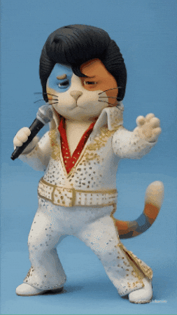 Elvis Presley Cute Cat GIF