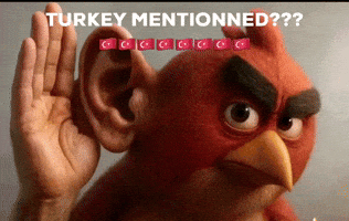Angry Birds Turkey GIF