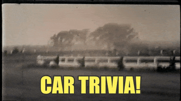 rosemarylintbucketcom cars GIF
