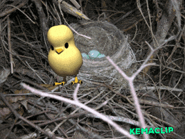 Egg GIF