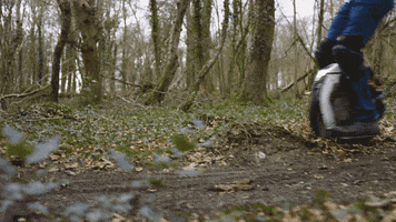 GIF by Ride + Glide