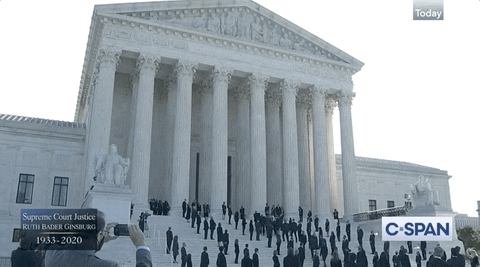 Supreme-court-justice GIFs - Get the best GIF on GIPHY