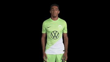 Sport No GIF by VfL Wolfsburg