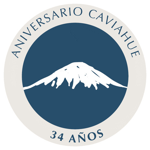 Aniversariocaviahue Sticker by Cremas Caviahue