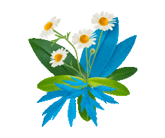 Choice Organic Sticker