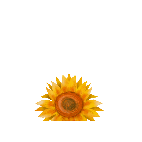 Flower Gift Sticker
