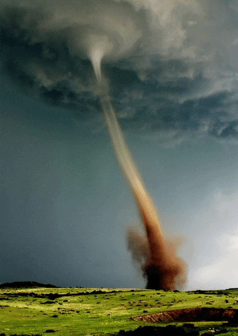 Tornado GIFs - Get the best GIF on GIPHY