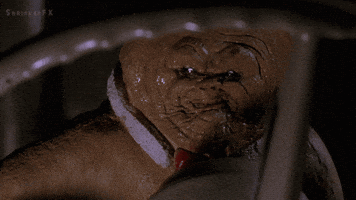 Movie GIF