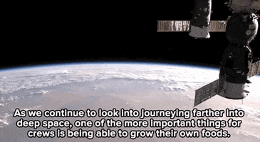 space station news GIF