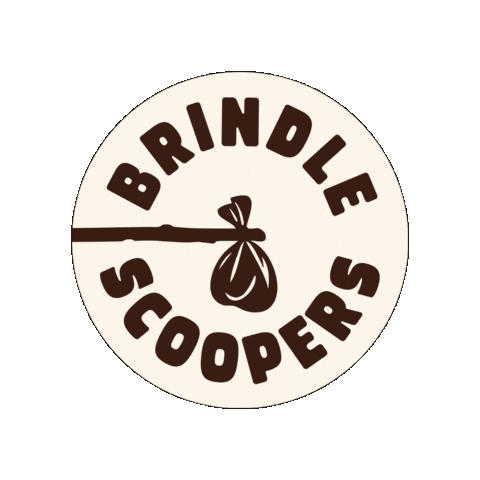 Brindle Scoopers Sticker