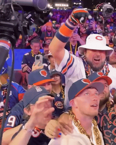 Chicago Bears Nfl GIF