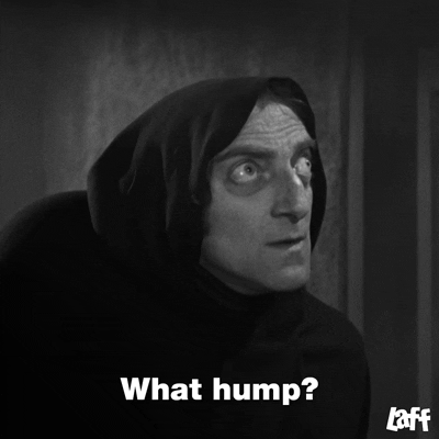 Inquire Young Frankenstein GIF by Laff