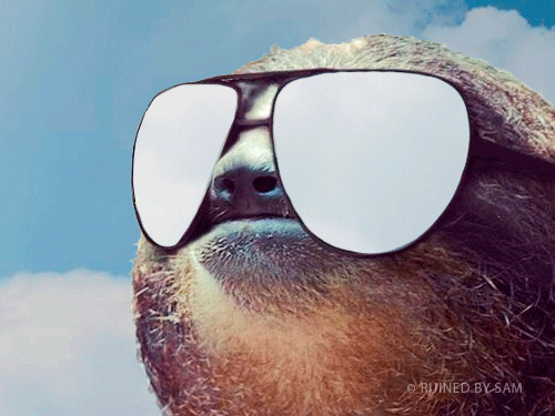  summer cool sunglasses clouds sunny GIF