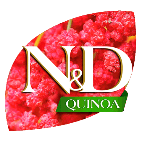 Genius Happypet Sticker by Farmina Pet Foods