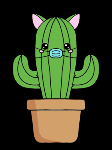 Cat Cactus GIF