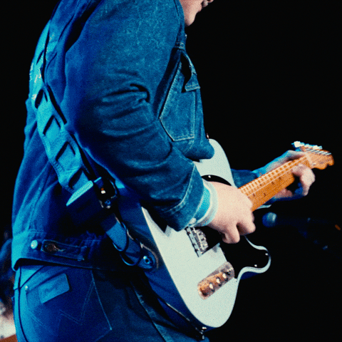Top Guitar GIF by Leo33