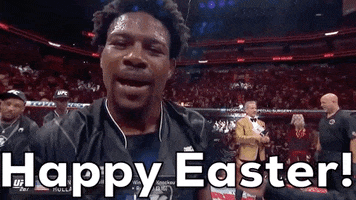 Sport Happy Easter GIF by UFC
