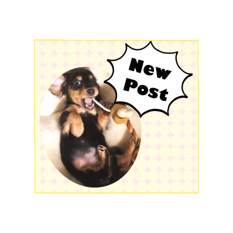 Animated Sticker