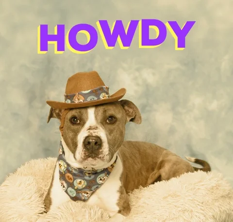 Adopt Conway Twitty GIF