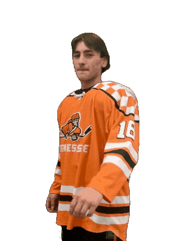 Ice Vols Sticker by Tennessee Hockey