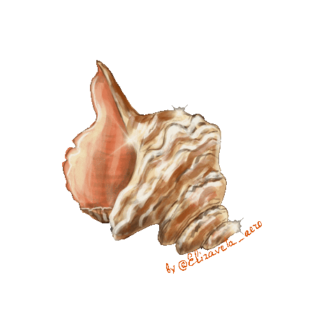 Summer Sticker