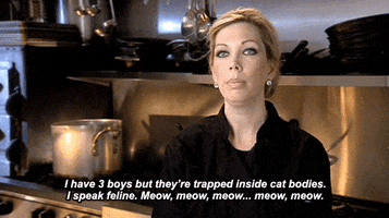 kitchen nightmares cat GIF by RealityTVGIFs
