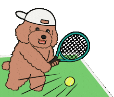 Dttennis Sticker by DT