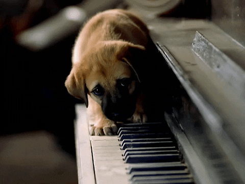 Big Boi Piano Gif By Outkast - Find & Share On Giphy
