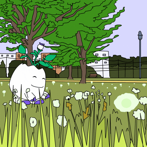 St Patricks Day Good Luck GIF by Magic Eden