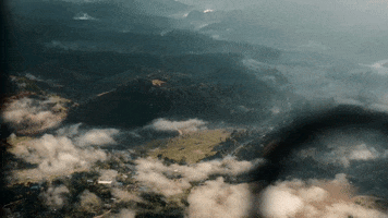 Indie Film Fire GIF by Signature Entertainment