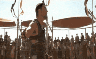 Russell Crowe Gladiator GIF