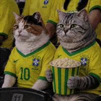 brazil-world-cup-jumbotron-rvh7vQWch6CAVmzJ2h