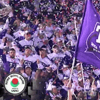 Horned Frogs Crowd GIF by TCU Athletics