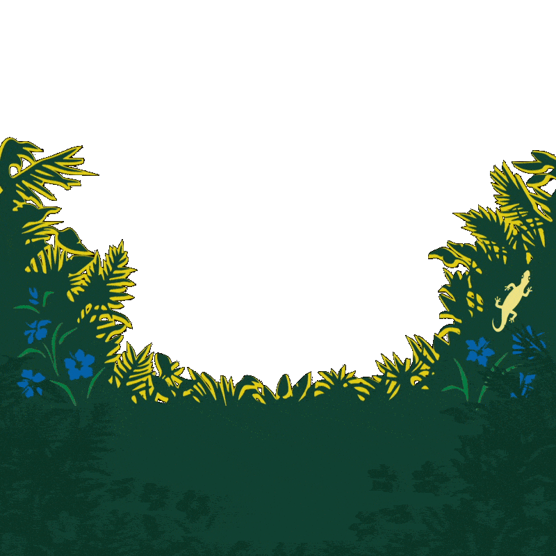 Watersport Wingfoil Sticker by swissfoiling