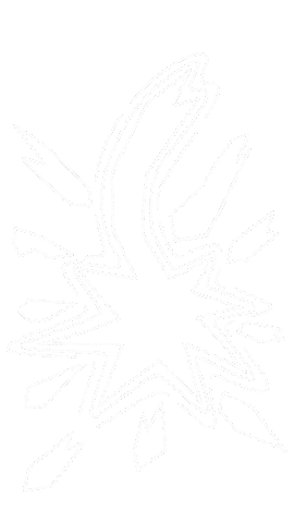 Logo Padres Sticker