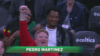 Pedro Martinez GIFs