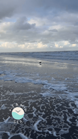 Sea Vitamin GIF