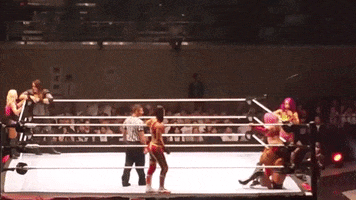 Wwe GIF