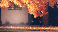 200w.gif