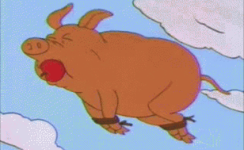 Flying Pig GIFs - Get the best GIF on GIPHY
