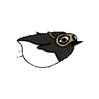 Animated Sticker