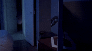 Scared Put Em Up GIF by Pixhunters