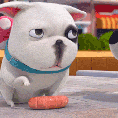 Animation GIF