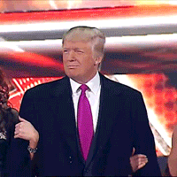 Donald Trump Wwe GIF - Find & Share on GIPHY